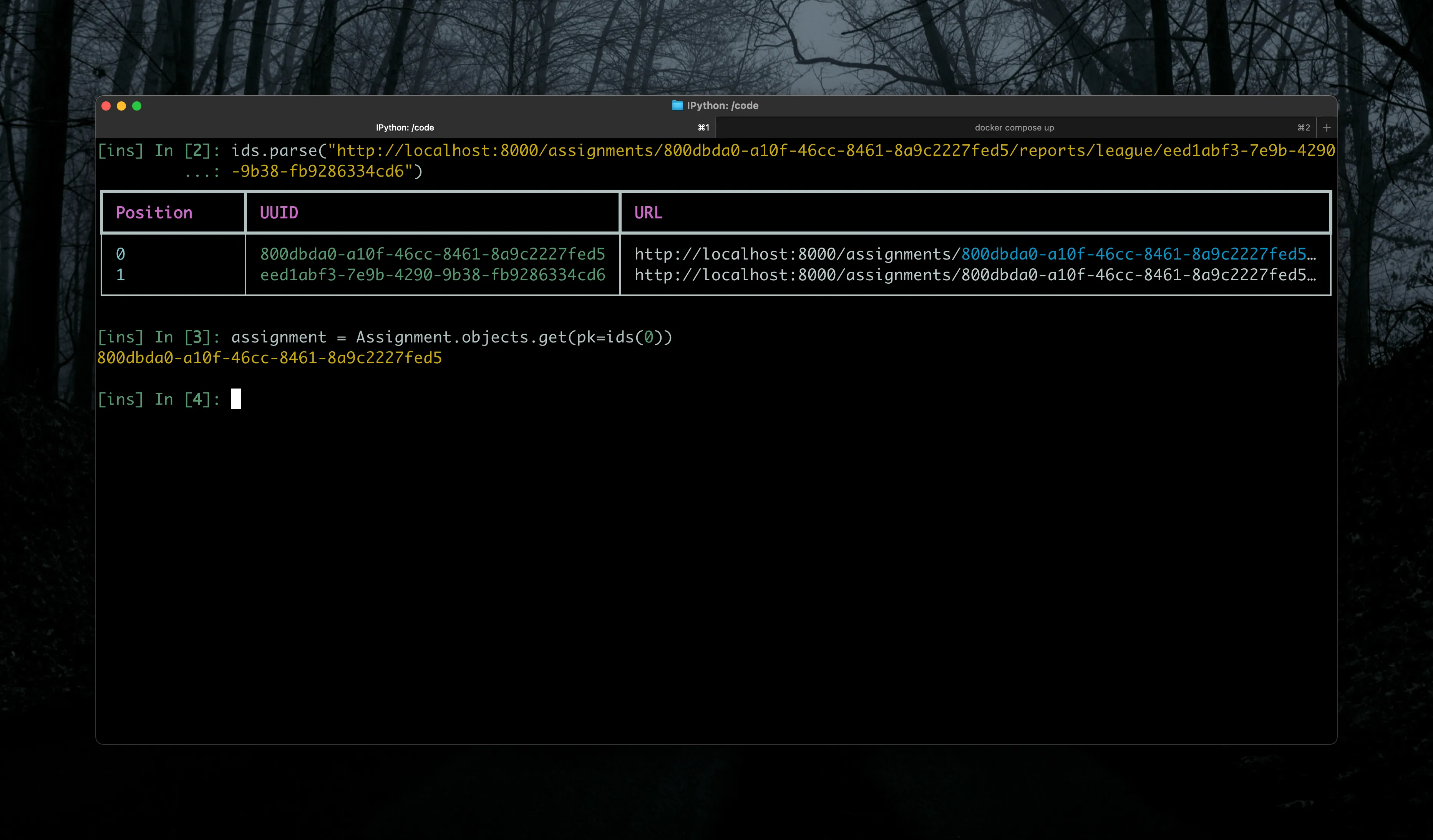 Image of IPython shell showing Rich table output of the URLFinder class