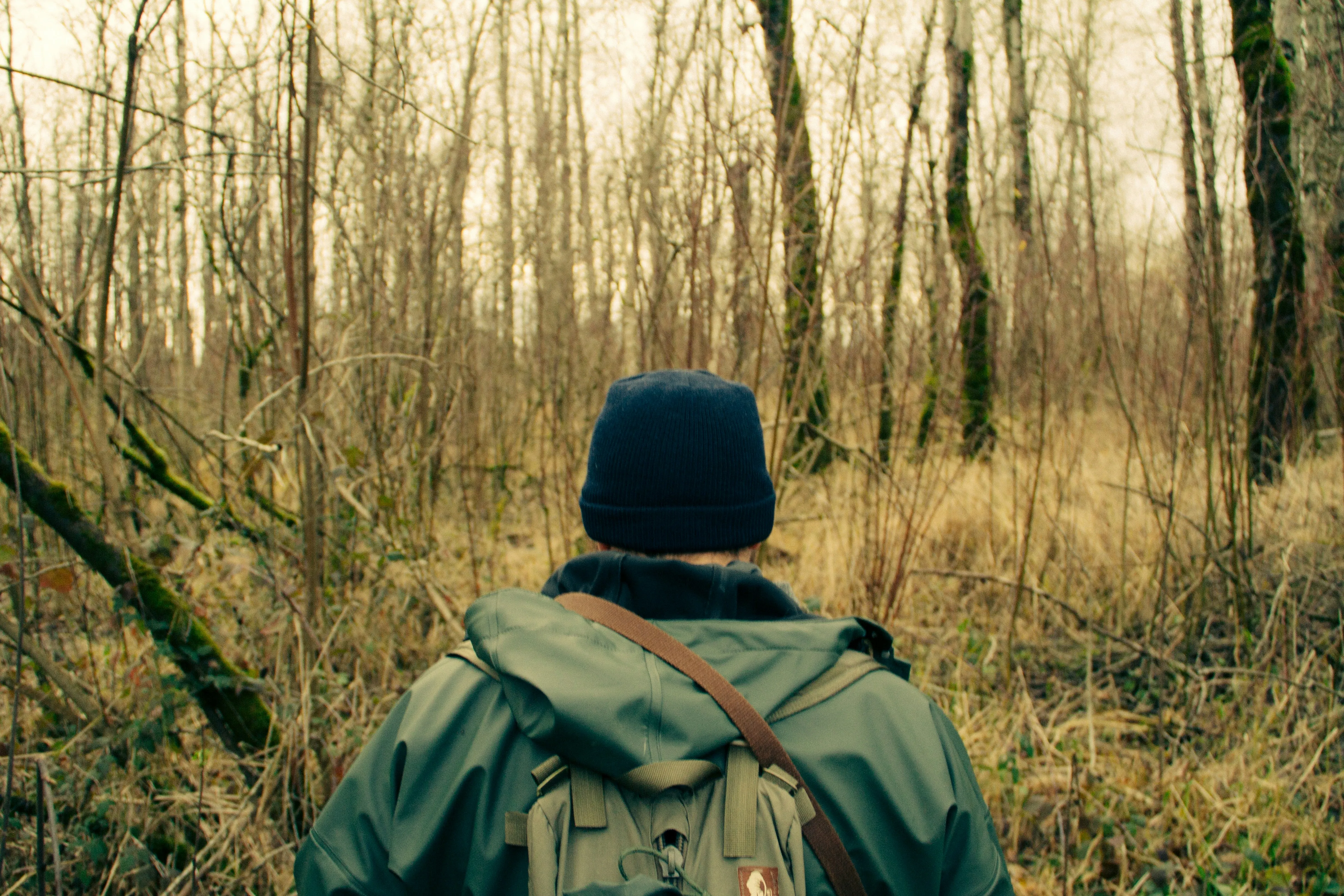 A man walking through a forest